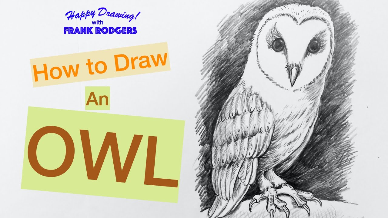 How to Draw an OWL. Sketching Birds No 1. Happy Drawing! with Frank Rodgers
