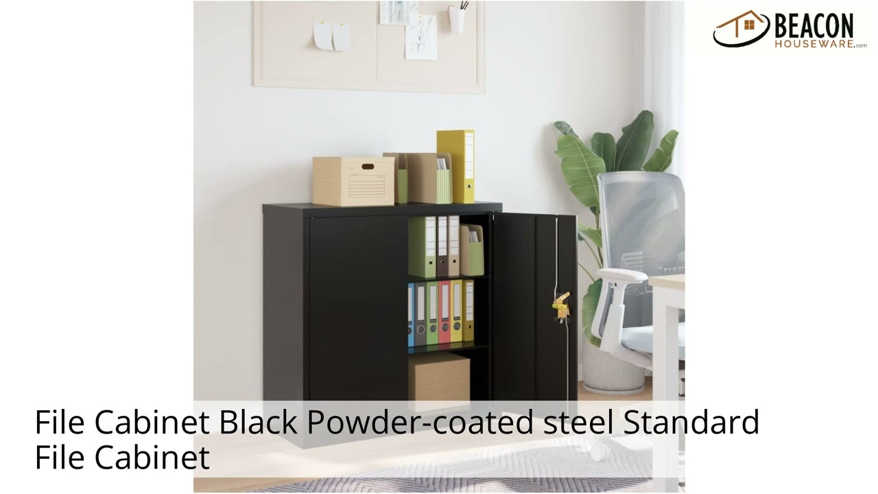 File Cabinet Black Powder-coated steel Standard File Cabinet