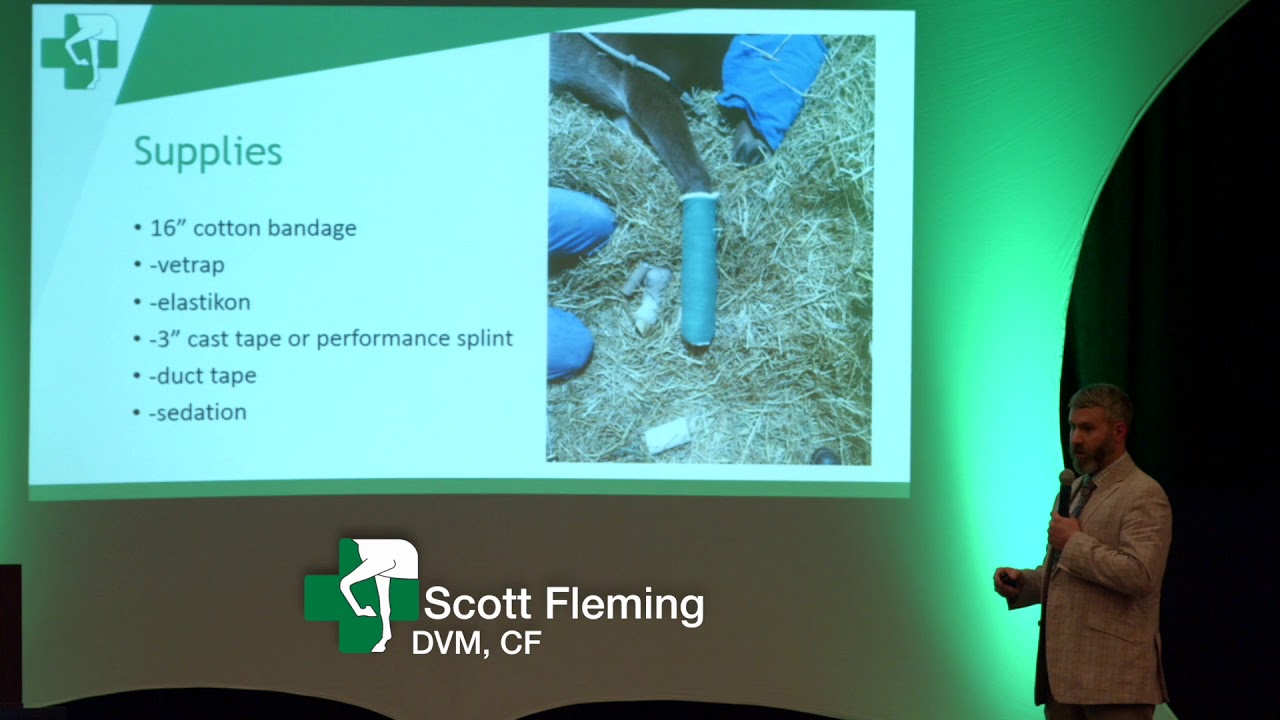What are my treatment options for a recently born foal with contracted tendons?