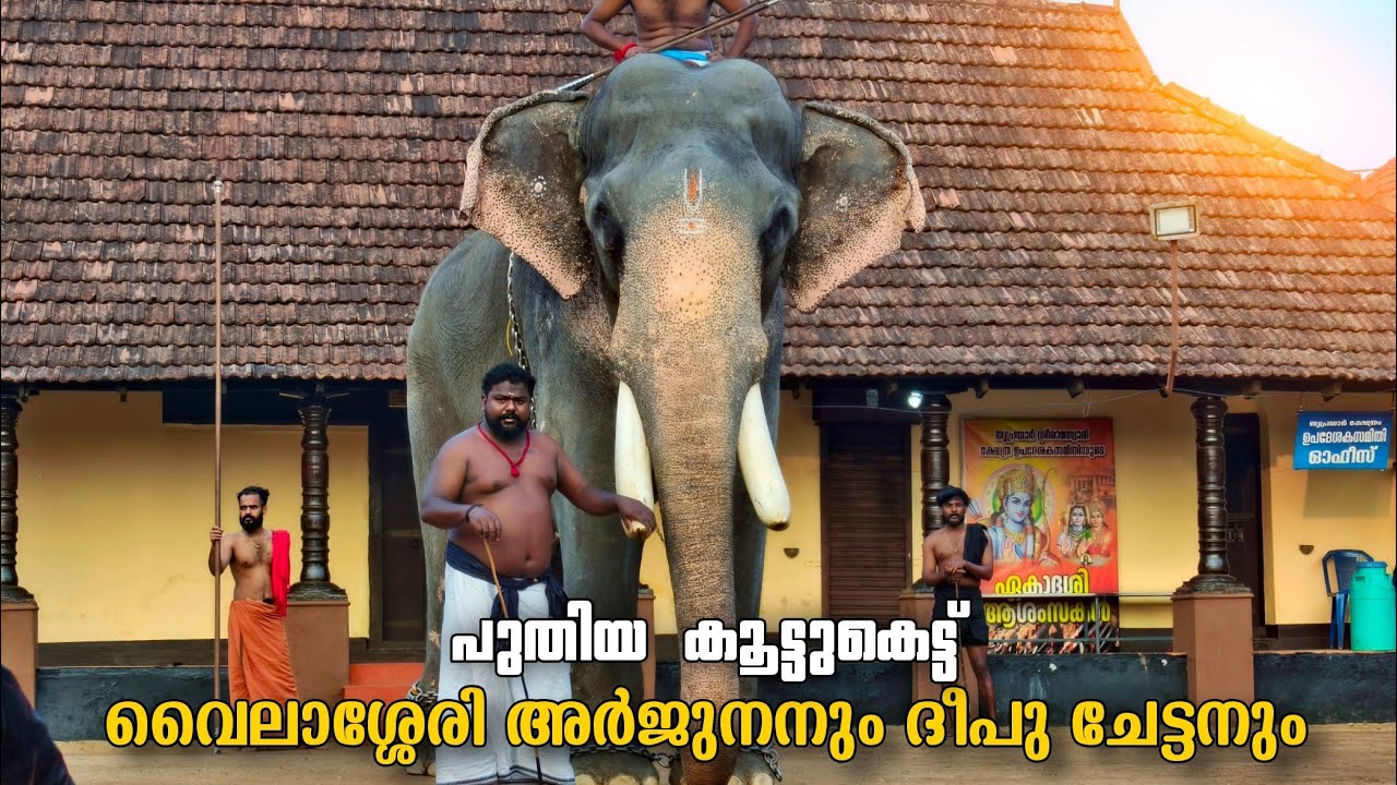 പുതിയ കൂട്ടുകെട്ടിൽ ഇന്ന് തൃപ്രയാറിലെത്തിയ വൈലാശ്ശേരി അർജുനനും ദീപു ചേട്ടനും 😍🔥 Vailassery Arjunan