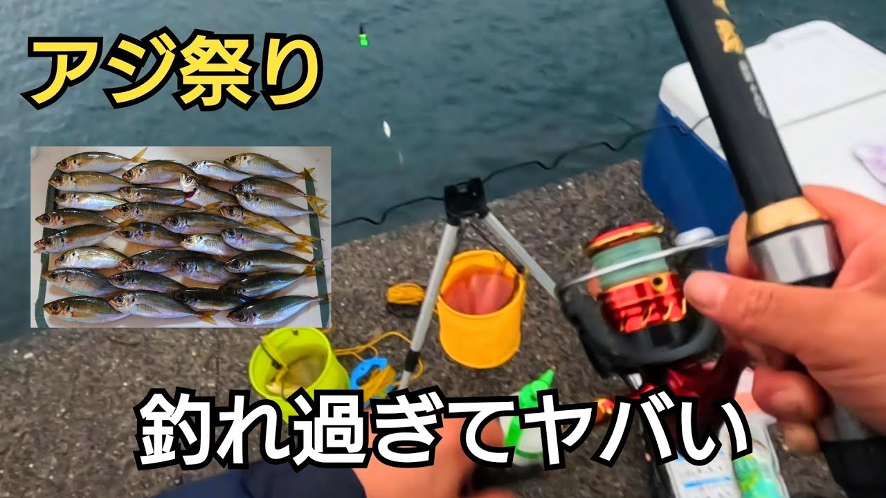 アジ祭り！入れ食い日に遭遇！