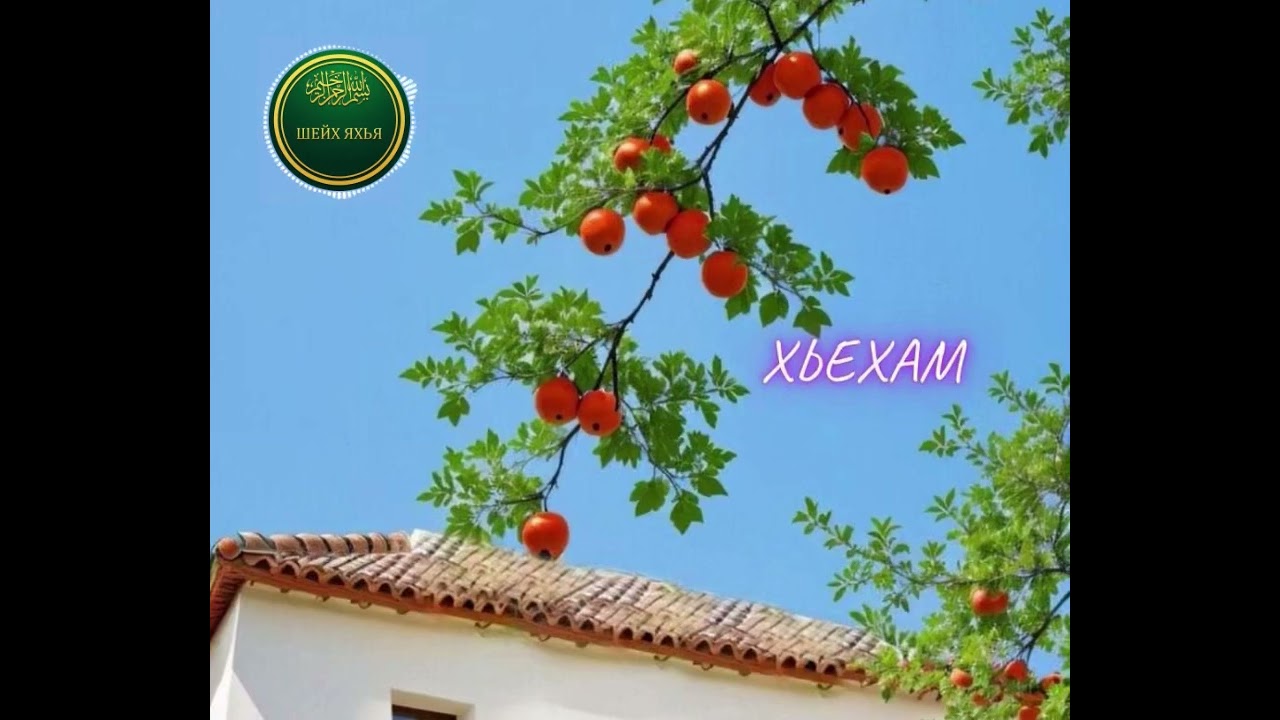 40 - Хьехам. Зударийн дола дар.