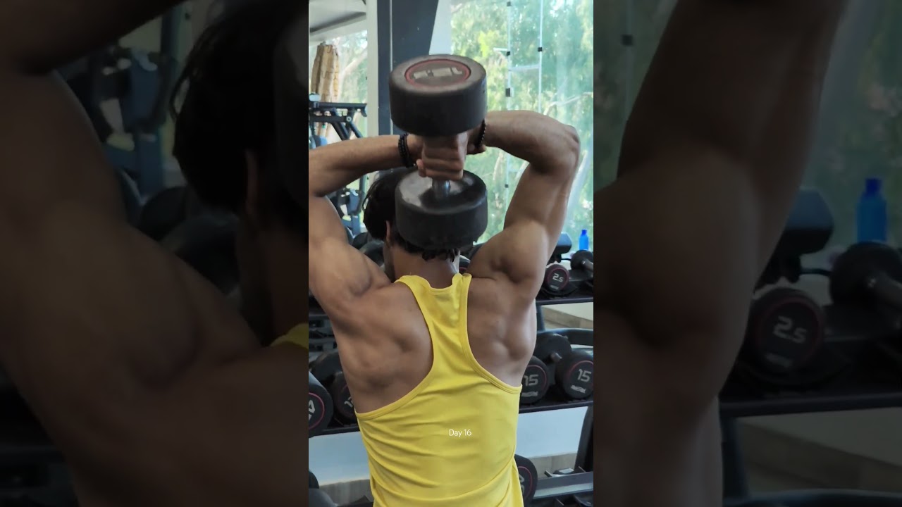 Lean bulk day - 16 Triceps 