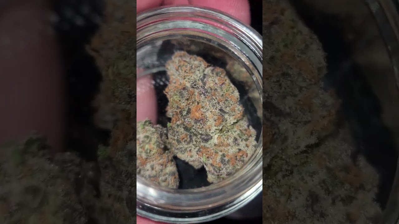 😈💯 CONNECTED SLOW LANE GREAT EIGHTH BUD 🔥💯