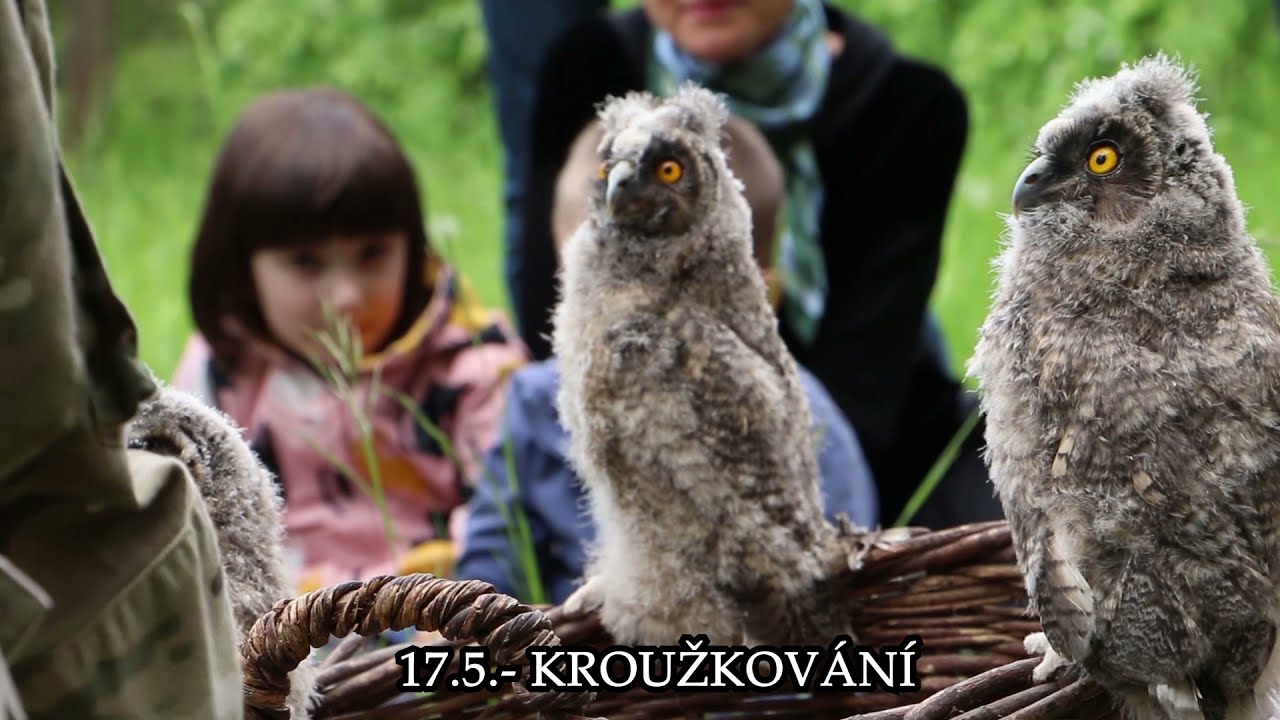 Ze Života Kalousů 2021