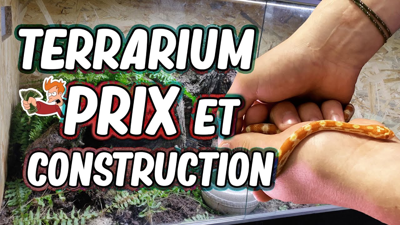TERRARIUM pour serpent PRIX & CONSTRUCTION ♦ Gab