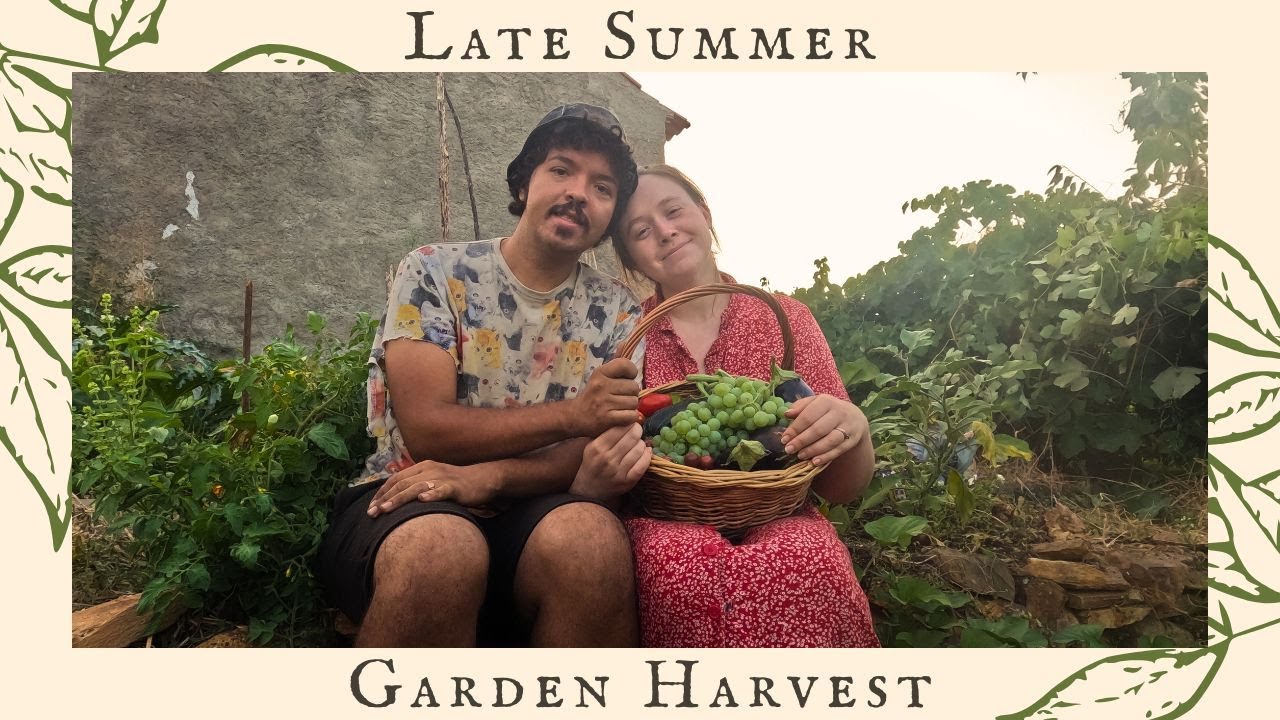 Late Summer Garden Harvest | Growing Our Own Food In Portugal