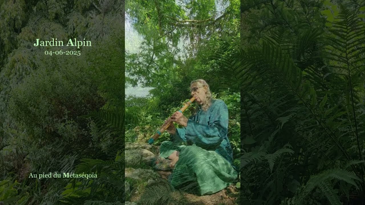Jardin Alpin au pied du Métaséqoïa  04 06 2025