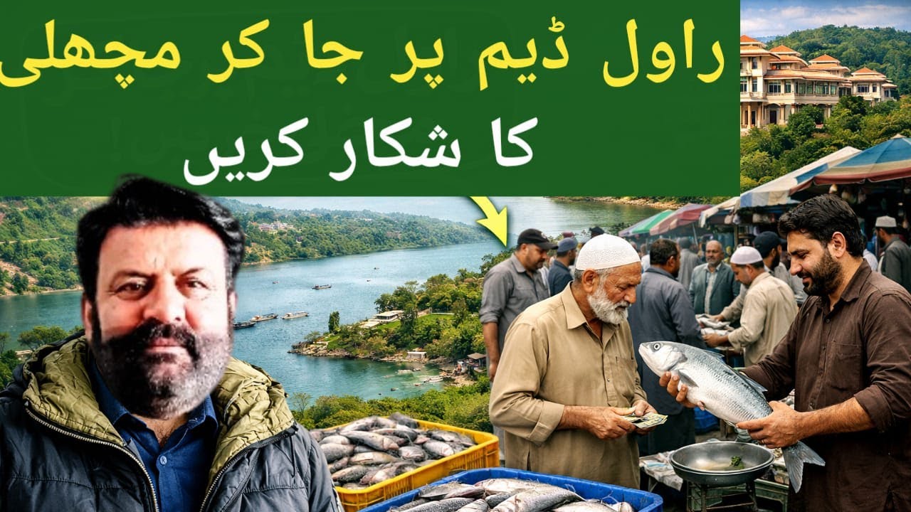 Fishing at Rawal Dam Islamabad | Earn with Fish Business