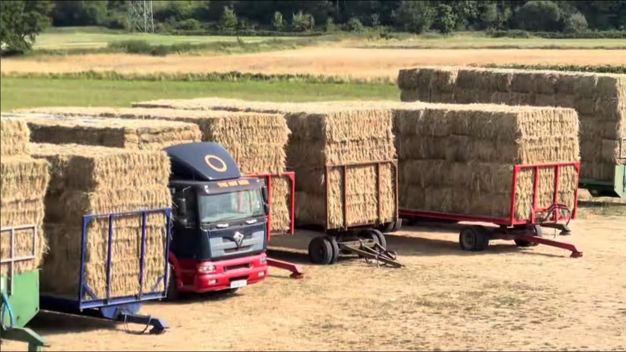 Hay Farming Summer 2022 Season