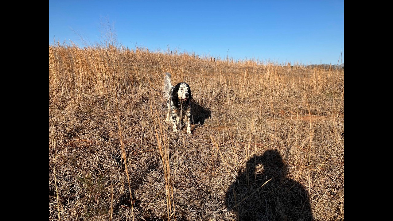 2 12 26 Lucy & I Warm Morning Hunt