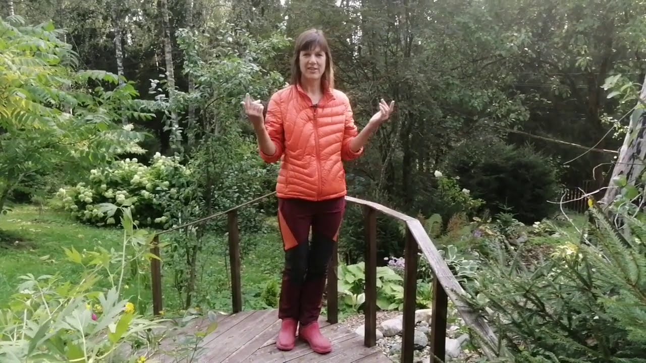 Почему я купила ножницы для стрижки травы Fiskars осенью. И что я с ними делаю.