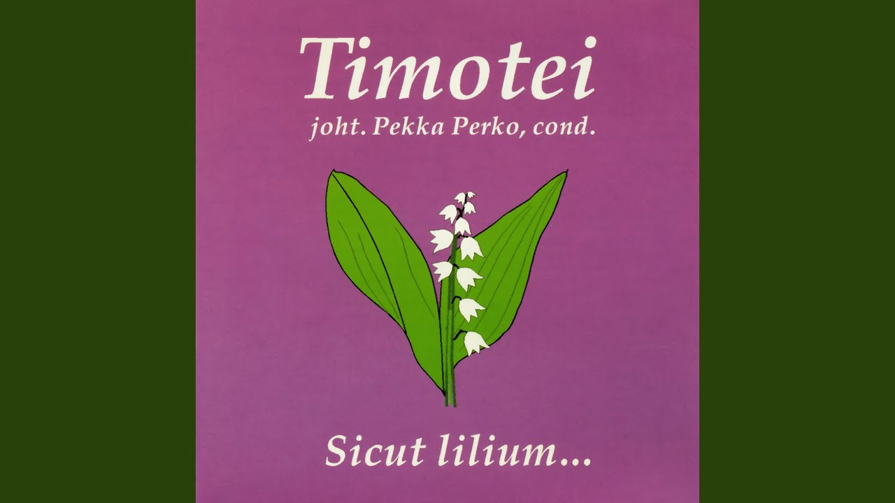 Ei saa mitte vaiki olla