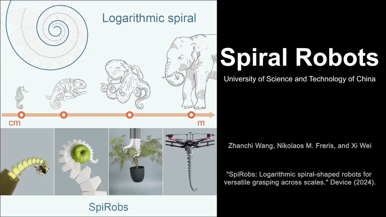 SpiRobs: Logarithmic spiral-shaped robots for versatile grasping across scales