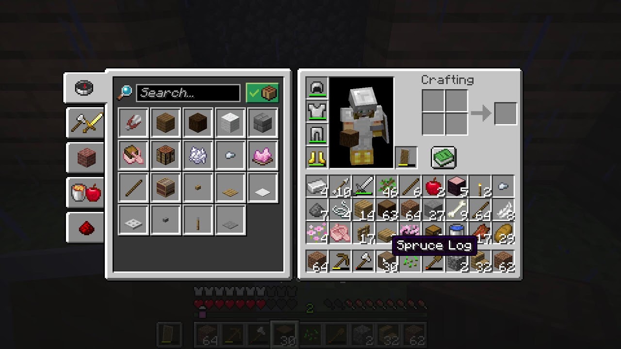 Minecraft's BEST SMP