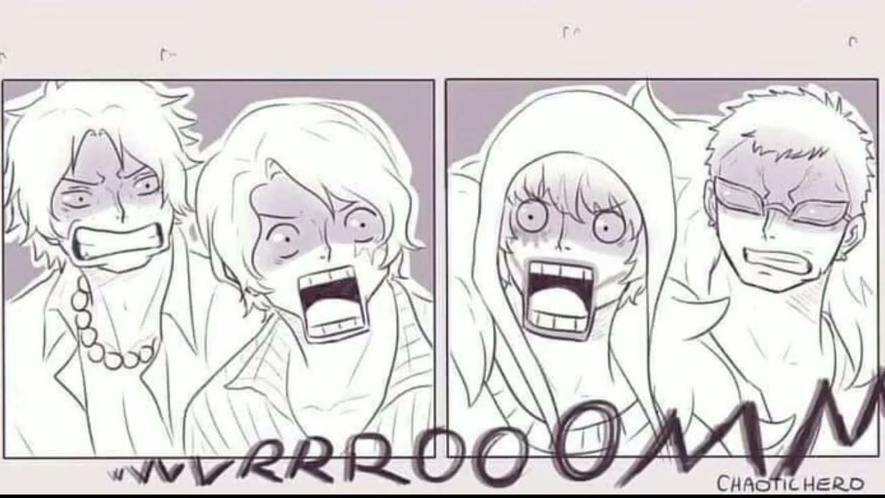 Conociéndo al novio🤔 one piece