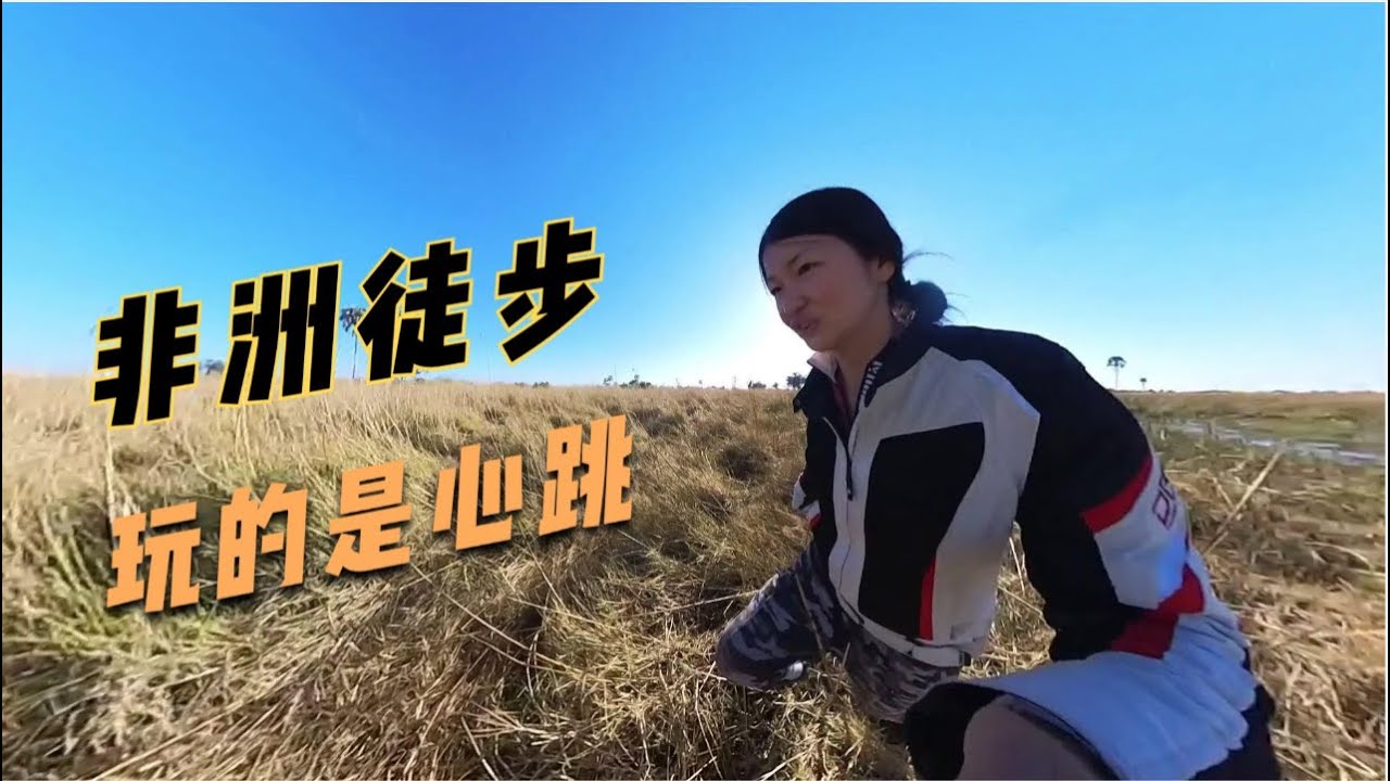 博茨瓦纳奥卡万戈三角洲徒步，也算是非洲必去了，看看怎么样