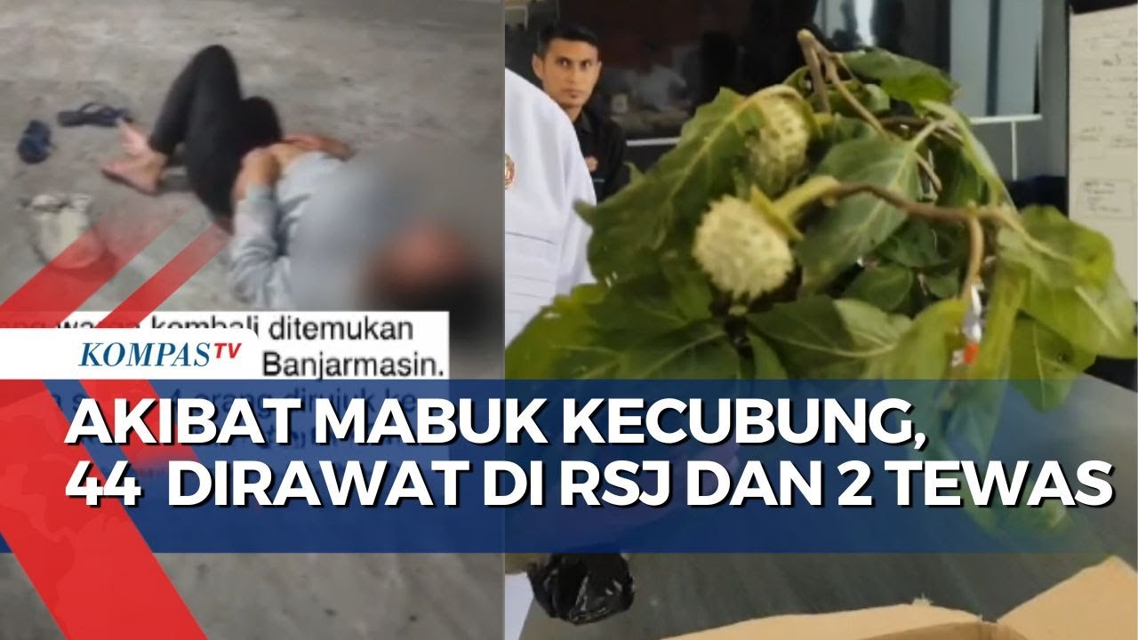 Akibat Mabuk Kecubung, 44 Orang Masuk RSJ dan 2 Tewas di Banjarmasin