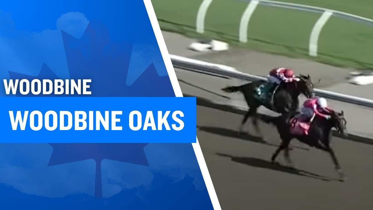 2025 $500,000 Woodbine Oaks