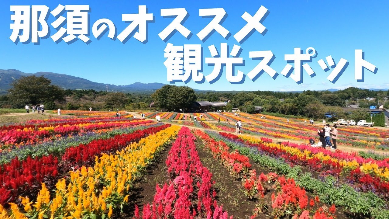 那須を観光するならココがおススメ！！ in 那須フラワーワールド/南ヶ丘牧場