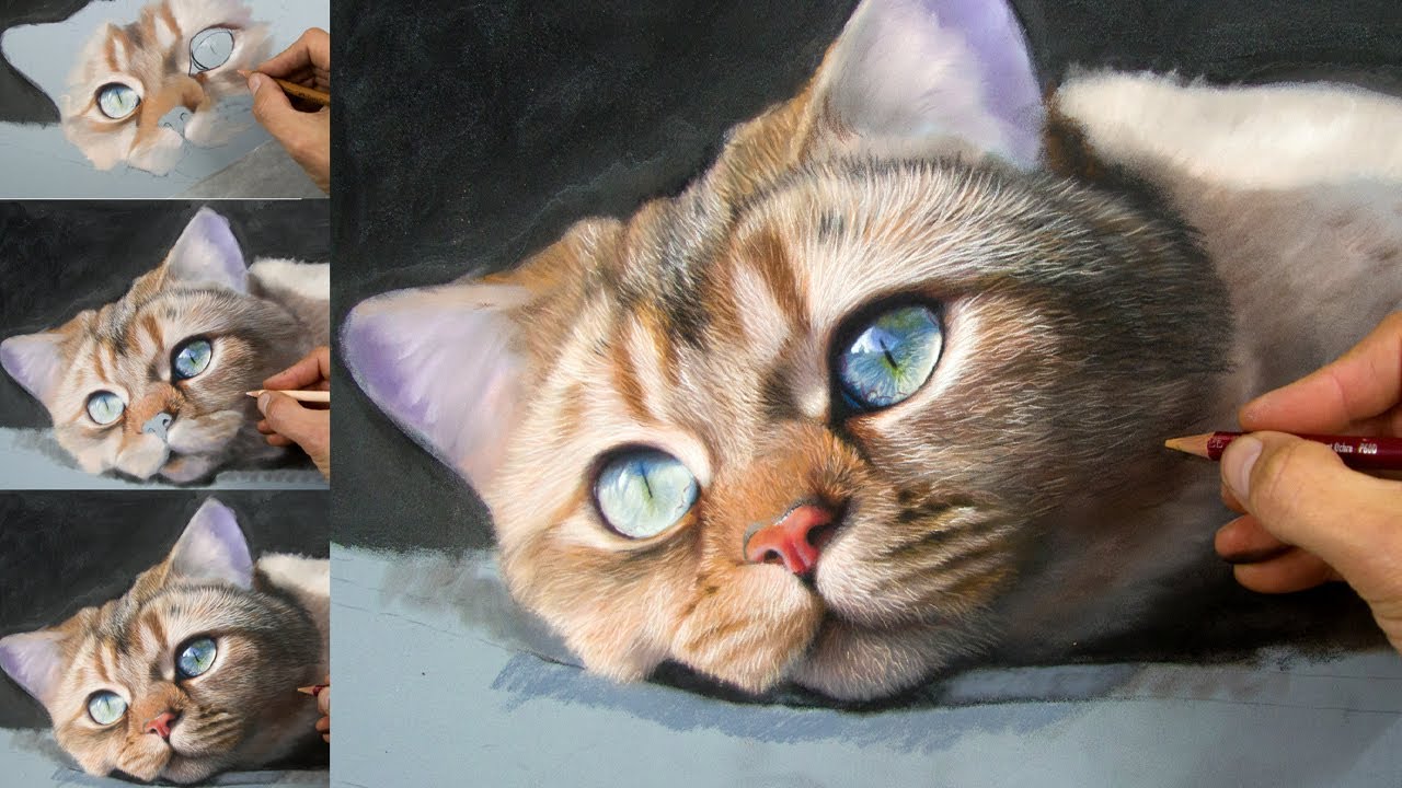 Pastel Cat Drawing/ Painting- Beginner PanPastels / Pastel Pencil lesson | Jason Morgan Art