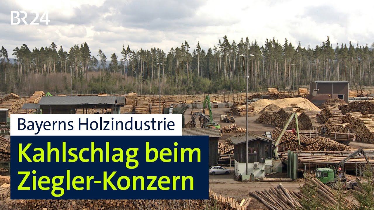 Bayerns Holzindustrie: Kahlschlag beim Ziegler-Konzern | BR24