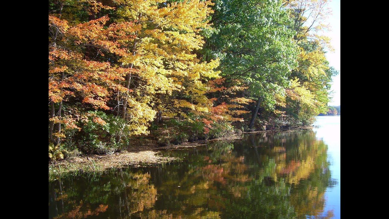 Foliage ~ Western Massachusetts