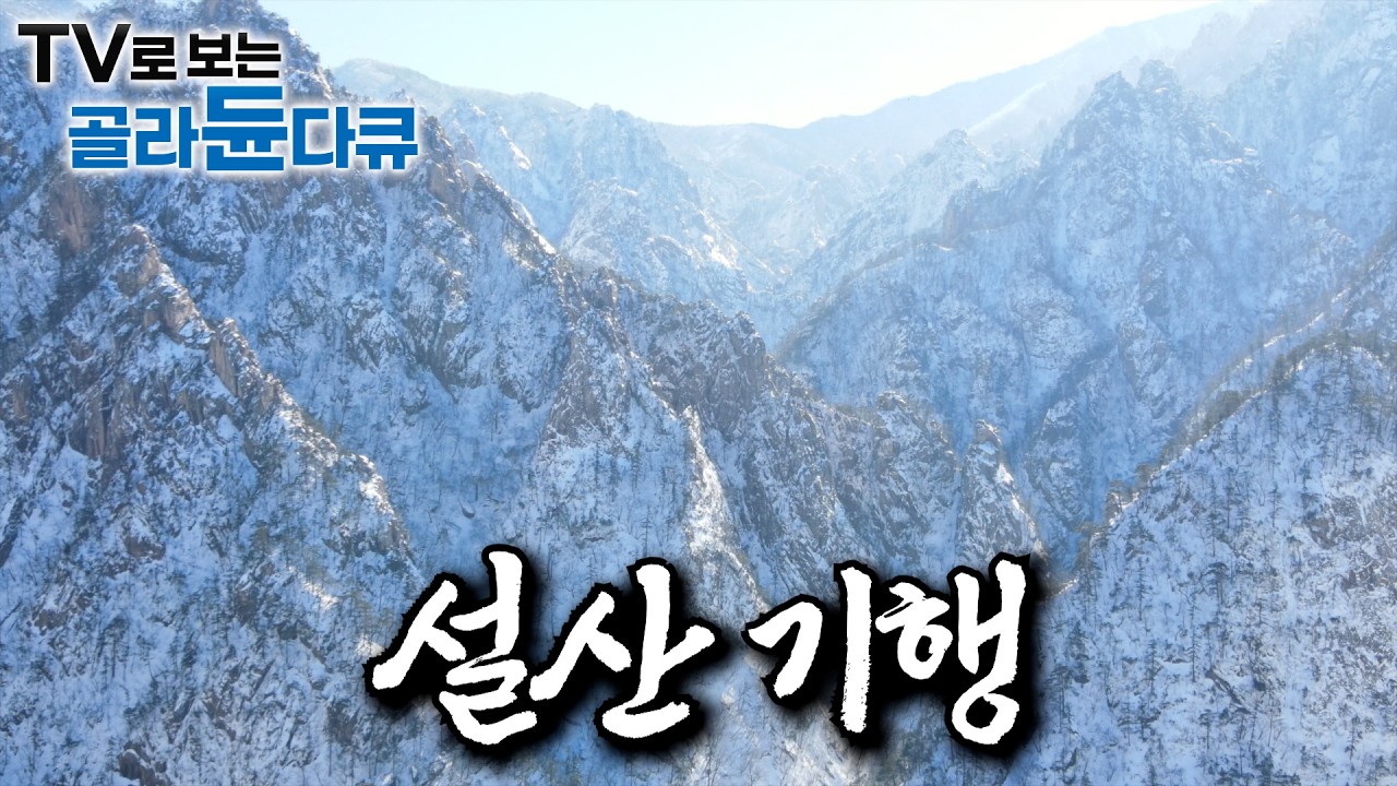 🏔우리가 그토록 기다린 풍경, 설산🏔｜한바탕 눈이 내린 뒤 얼음 왕국이 된 지리산｜천상의 눈꽃 화원이라 불리는 곰배령｜설악산 국립공원 특수산악구조대 겨울 작업｜극한직업｜#골라듄다큐