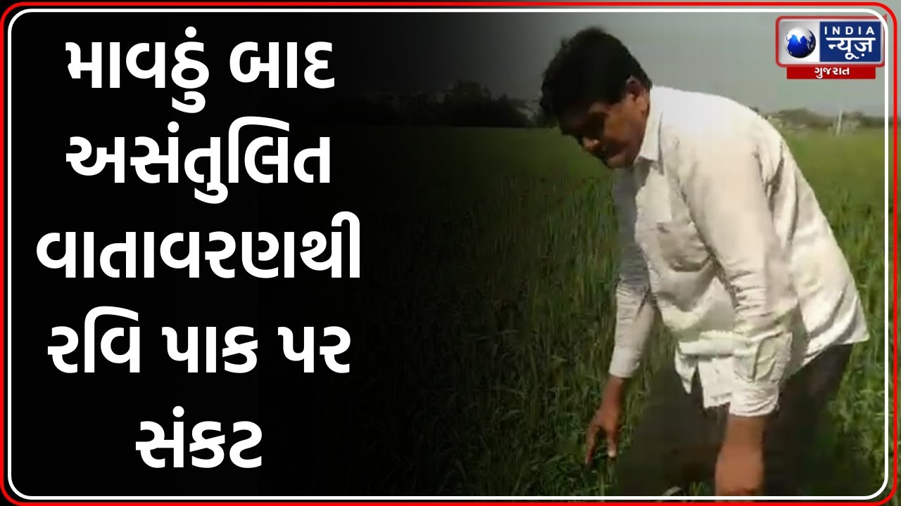 ધોરાજીના ખેડૂતો પર કુદરત રૂઠી, પાકને ભારે નુકસાન | Dhoraji Crop Damage