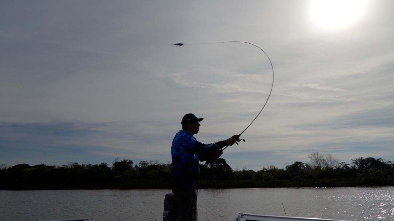 T&eacute;cnicas y Tutoriales - Tips PESCA CON SE&Ntilde;UELOS  - Baitcasting por Pablo Gonzalez