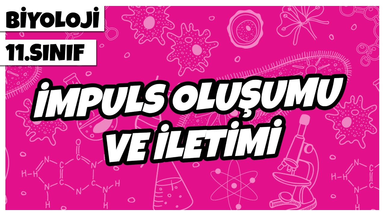 11. Sınıf Biyoloji - İmpuls Oluşumu ve İletimi | 2022