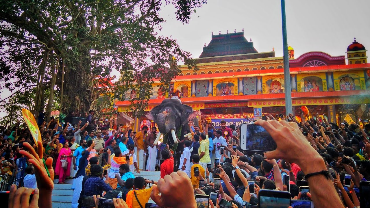 തിരുനക്കര പകൽ പൂരം | Kerala Elephants 😍 THIRUNAKKARA POORAM | കേരളത്തിലെ ആനകൾ | God's Own Country