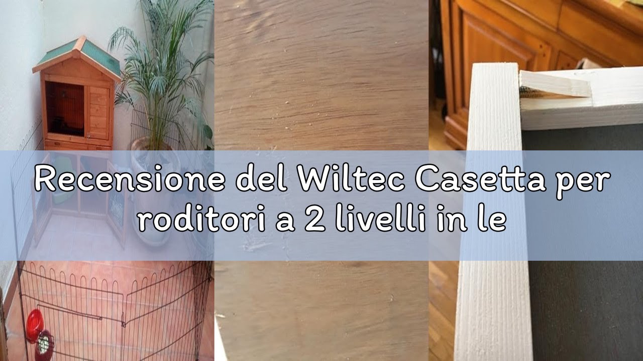 Recensione del Wiltec Casetta per roditori a 2 livelli in legno Conigliera