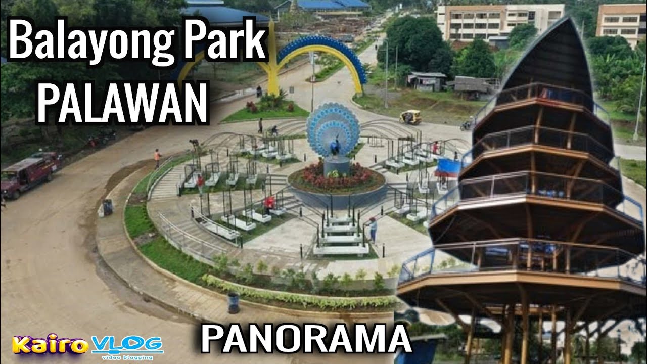 Palawan Panorama: A Majestic Flight Over Balayong's Park Beauty #palawan #balayongpark #travel