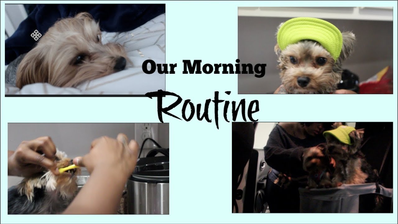 Our Morning Routine