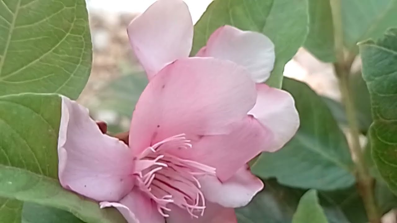 துரையை கையும் களவுமாக பிடித்த ஆதி பாரதியைகாப்பாற்றினார் 7 மார்ச் 