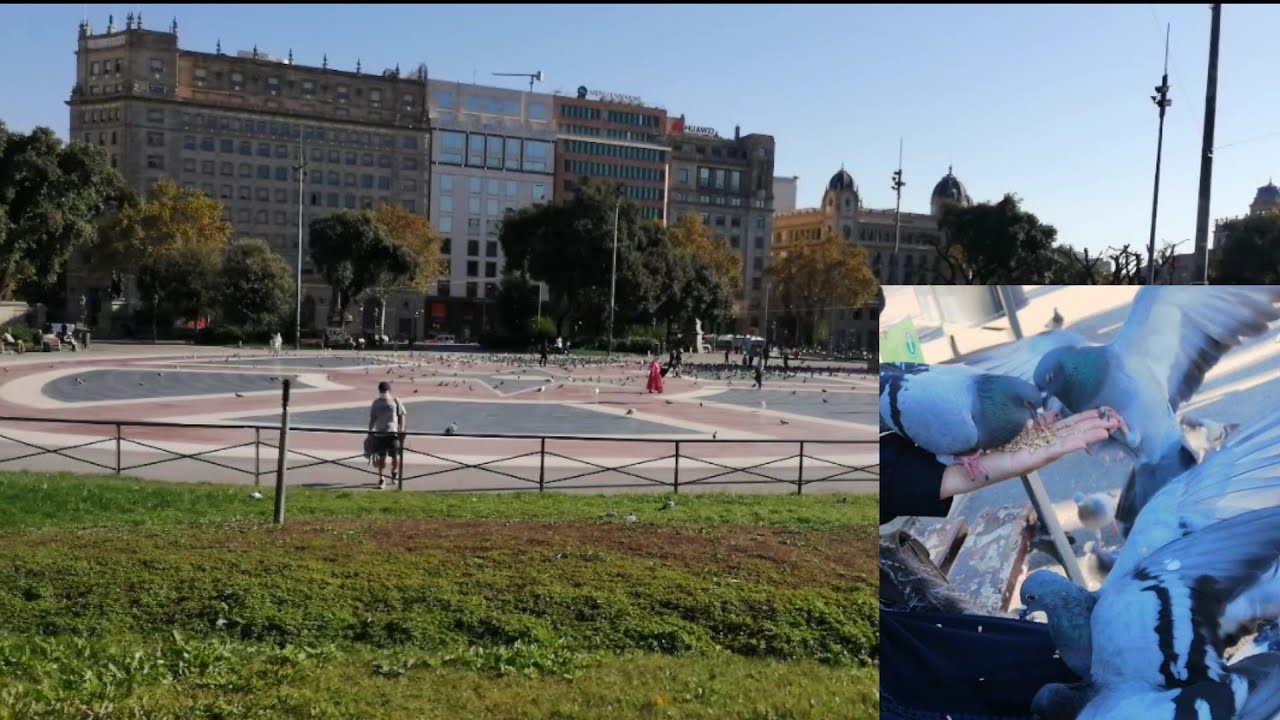 Barcelona Plaza de catalunaجولة في كطلوني