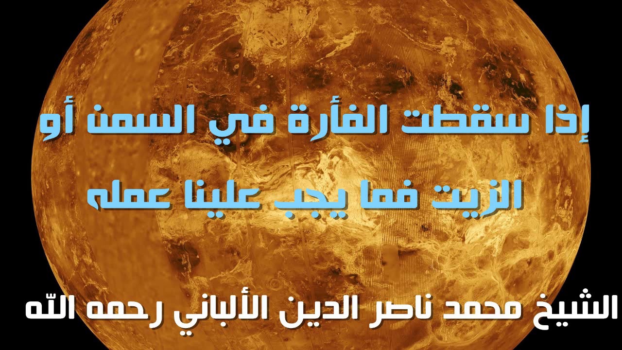 إذا سقطت الفأرة في السمن أو الزيت فما يجب علينا عمله