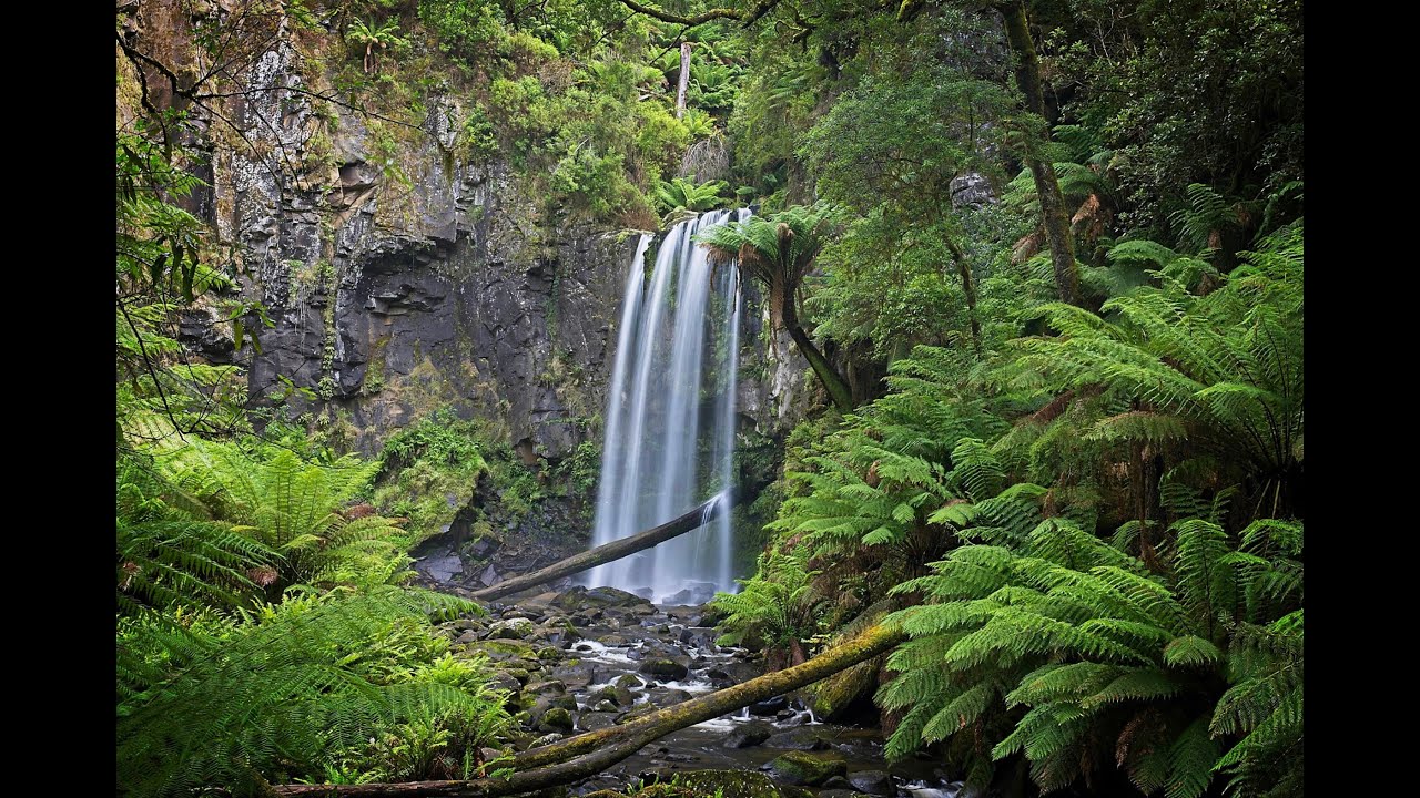 From the Great Ocean Road to the Blue Mountains: The Perfect Australian Road Trip Adventure