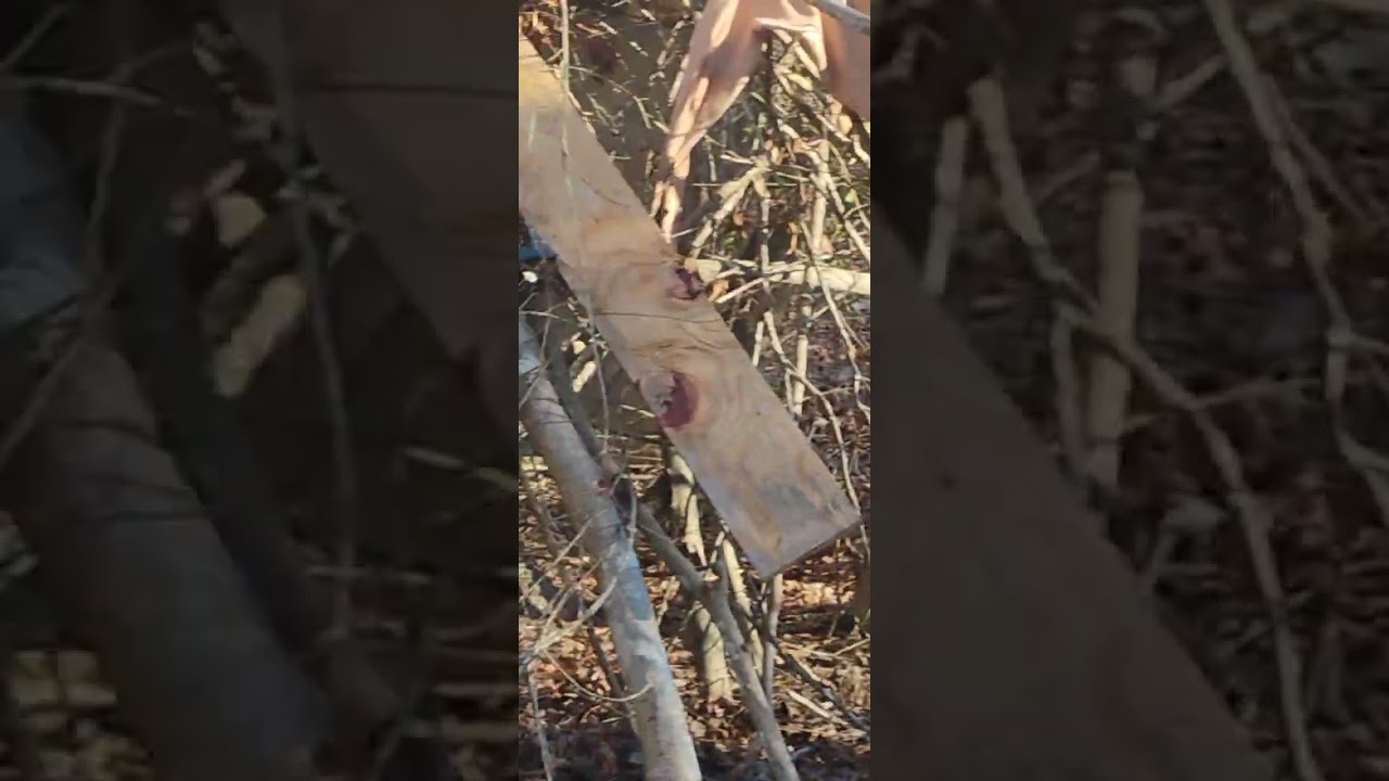 February 7, 2026 new pond update and a look at the old shelter 