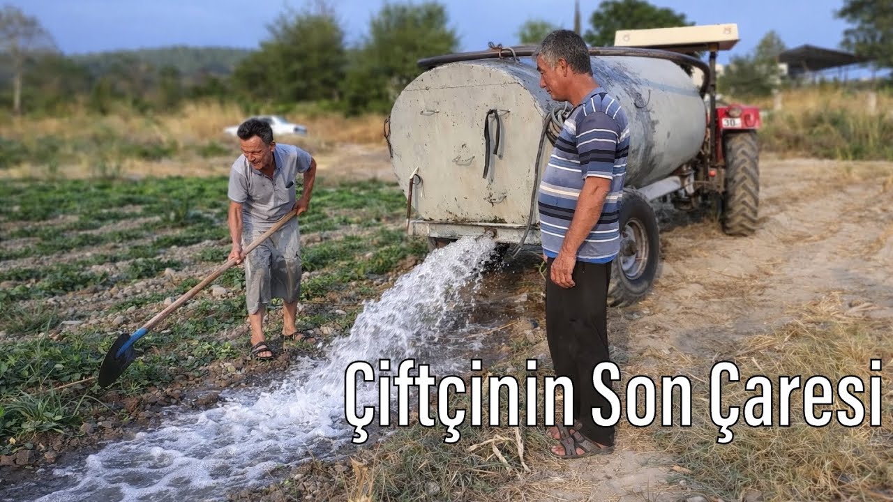 Tankerle Yerfıstığı Sulama 🌱 | Dere Kuruyunca Çözüm