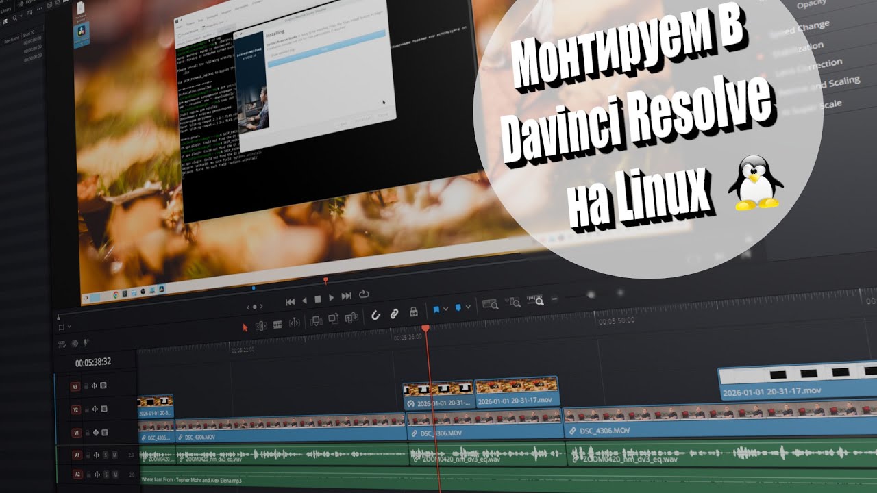 Можно ли работать в Davinci Resolve 20 на Linux