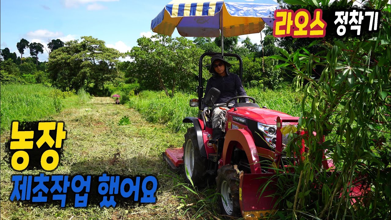ep445 제초기 구입하고 농장에 풀 잘랐어요