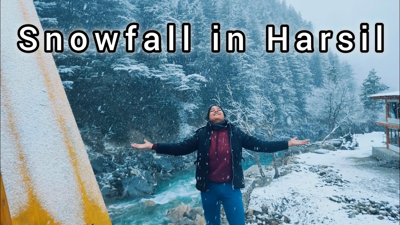 Witnessed my first snowfall in Harsil valley