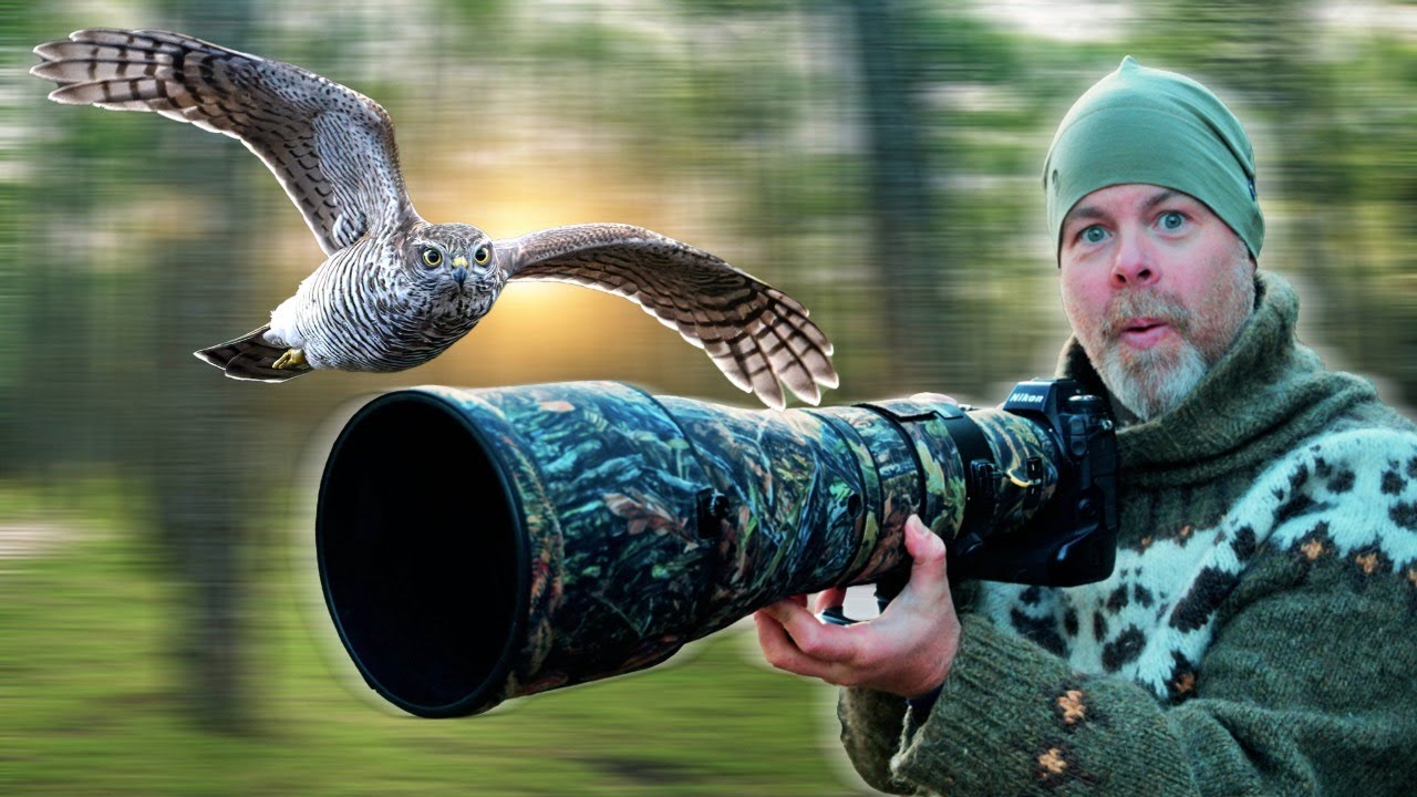 УДАЧНЫЙ КАДР? - Фотографировал ястреба-перепелятника три дня в укрытии.