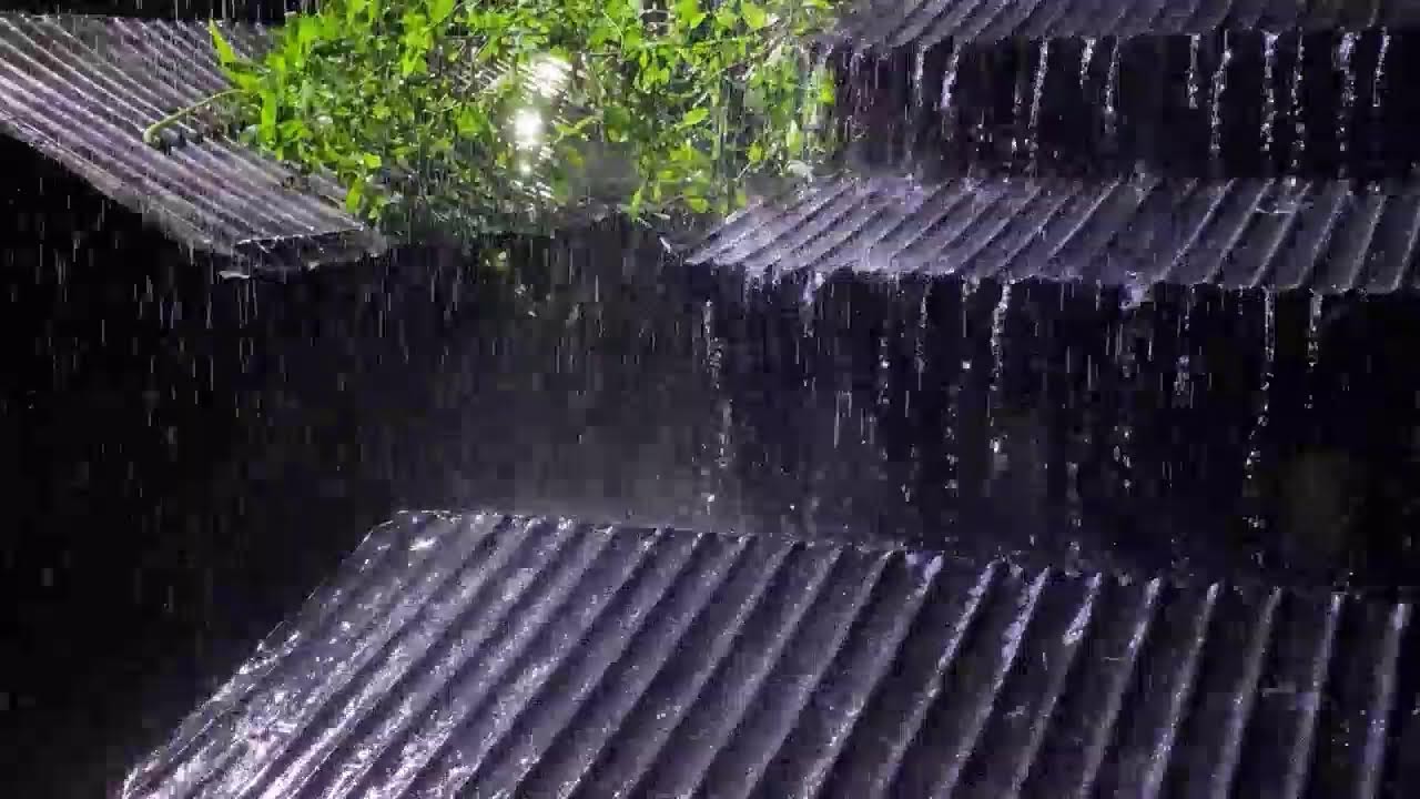 Heavy Rain ASMR on Tin Roof ⚡ Thunder Echoes for Stress Relief