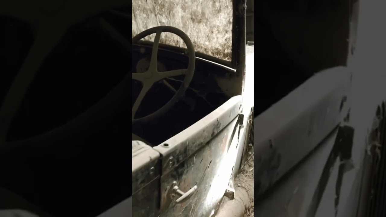 Barn Find! 
