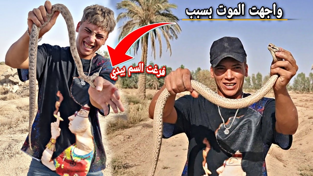 أخطر مغامر _شاهد كيف يتلاعب مع الأفاعي والعقارب السامه