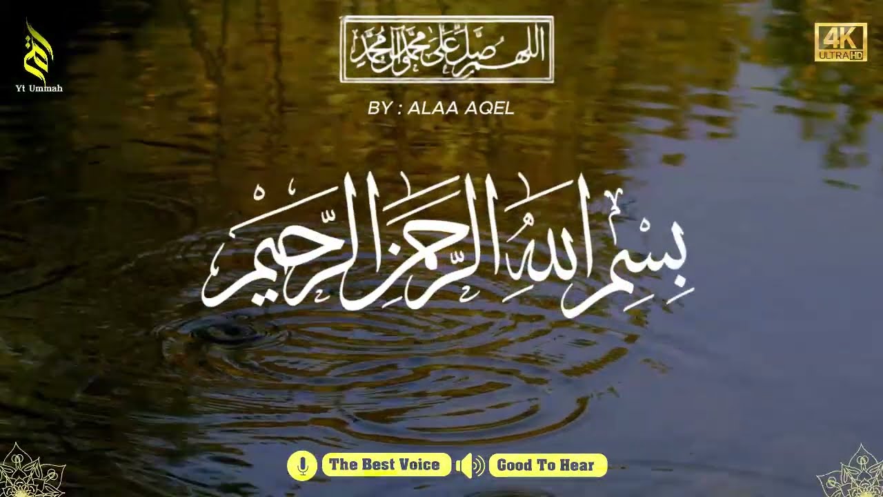Quran recitation in a peaceful voice I Alfatiha, ayat alkursi, yasin, alwaqiah, arrahman, Alaa aqel