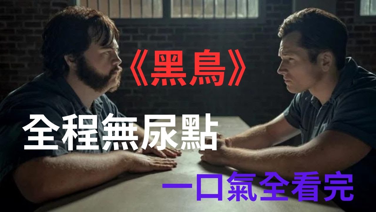 一口氣看完燒腦神劇《黑鳥》，全程無尿點，10秒直接入坑